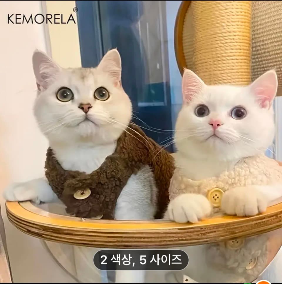 애견 애묘 겨울옷 - 1