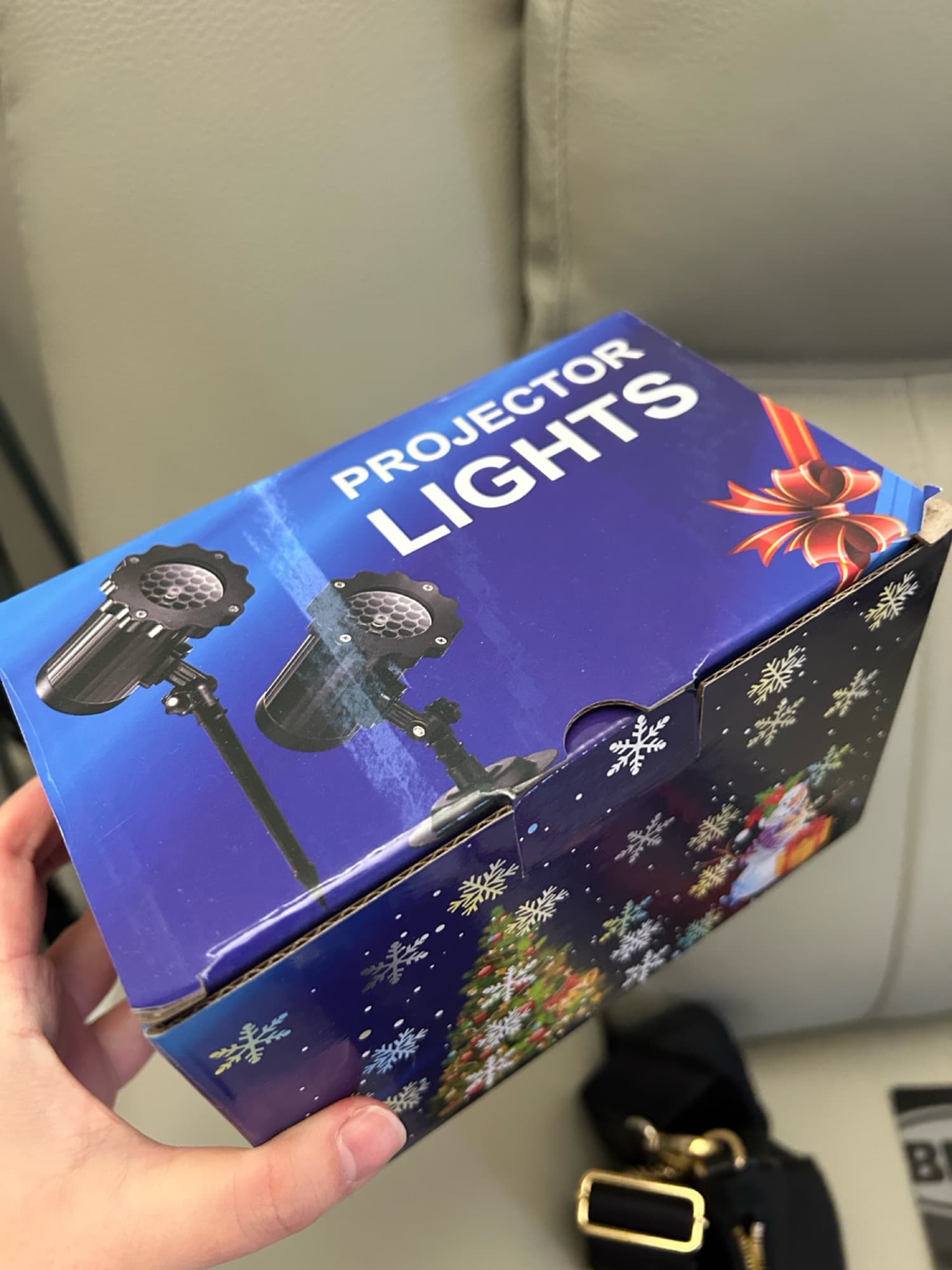 스노우 프로잭터 - 1