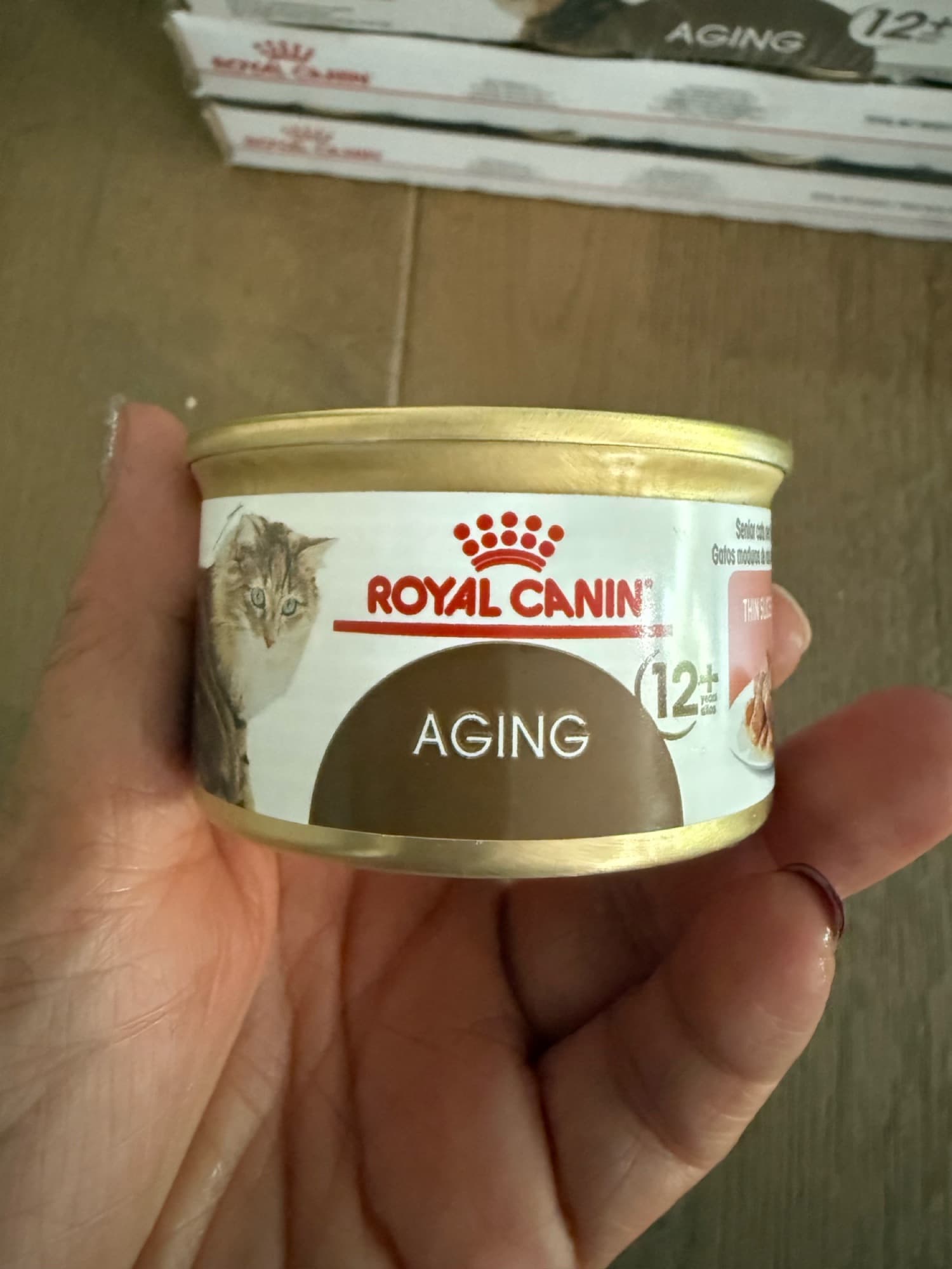 로얄캐닌 고양이 습식사료 - 1