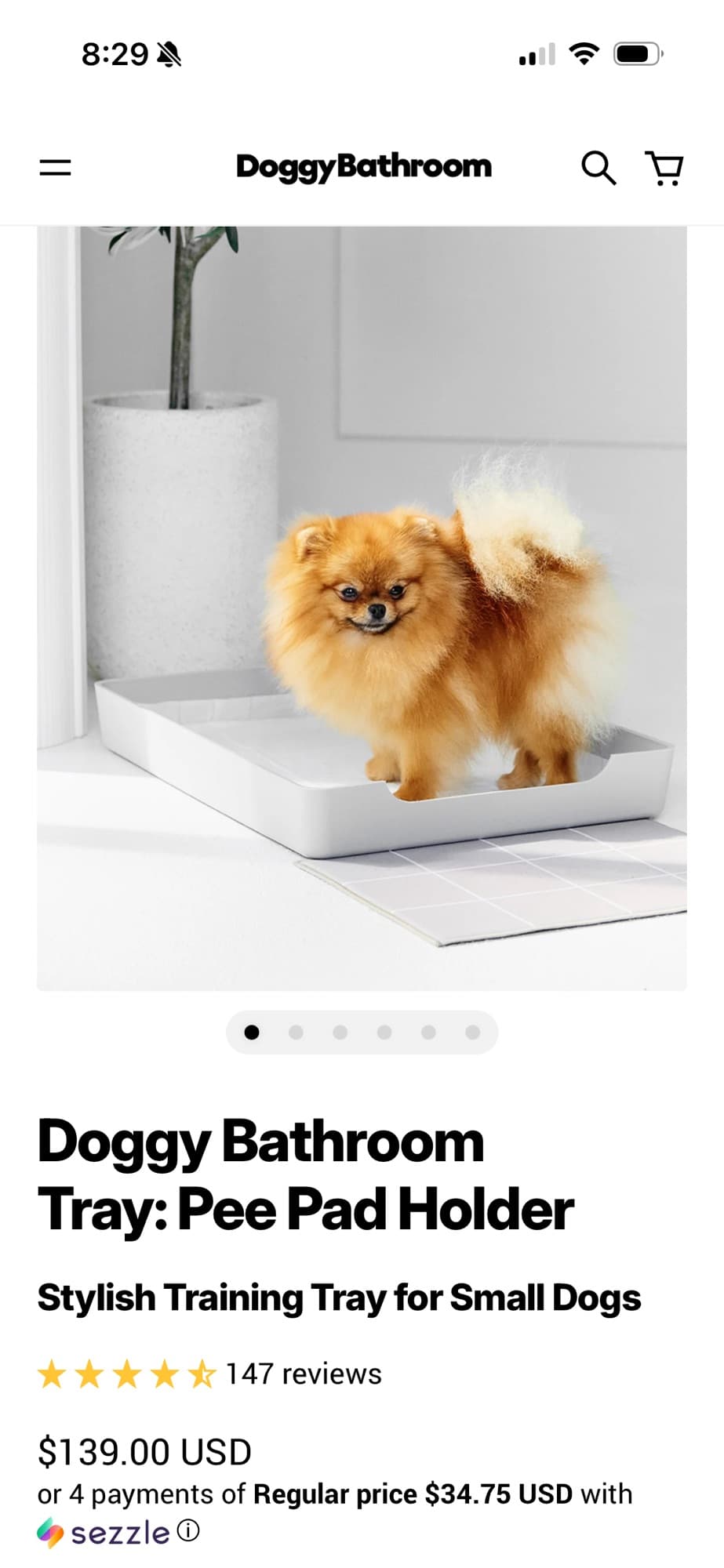 모던 강아지 배변 트레이 (2 사이즈) - 1