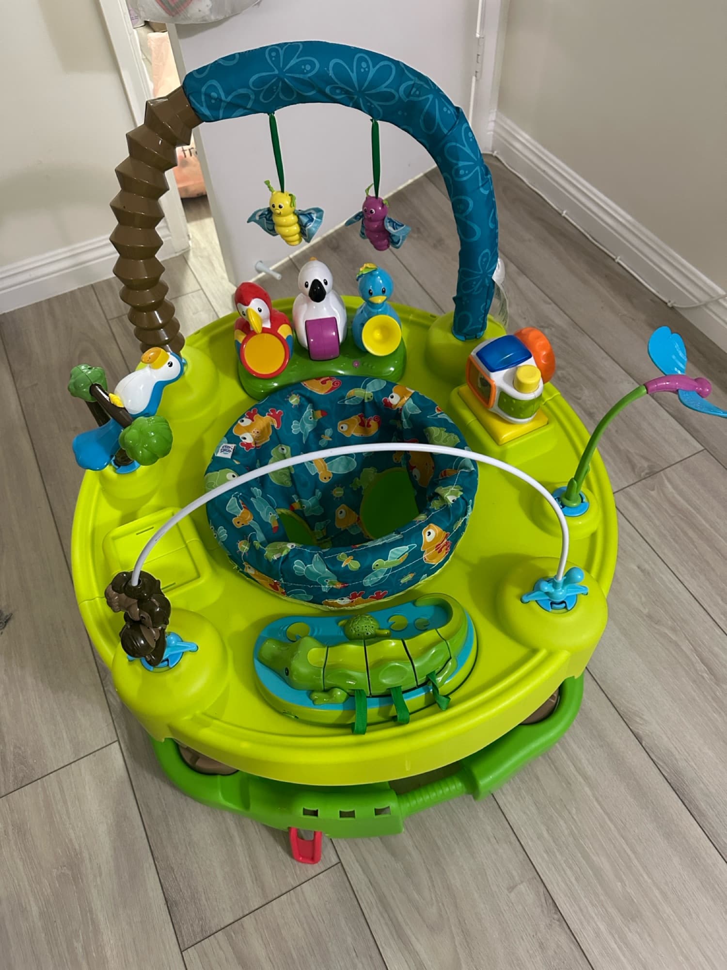 아마존 쏘서 - 1