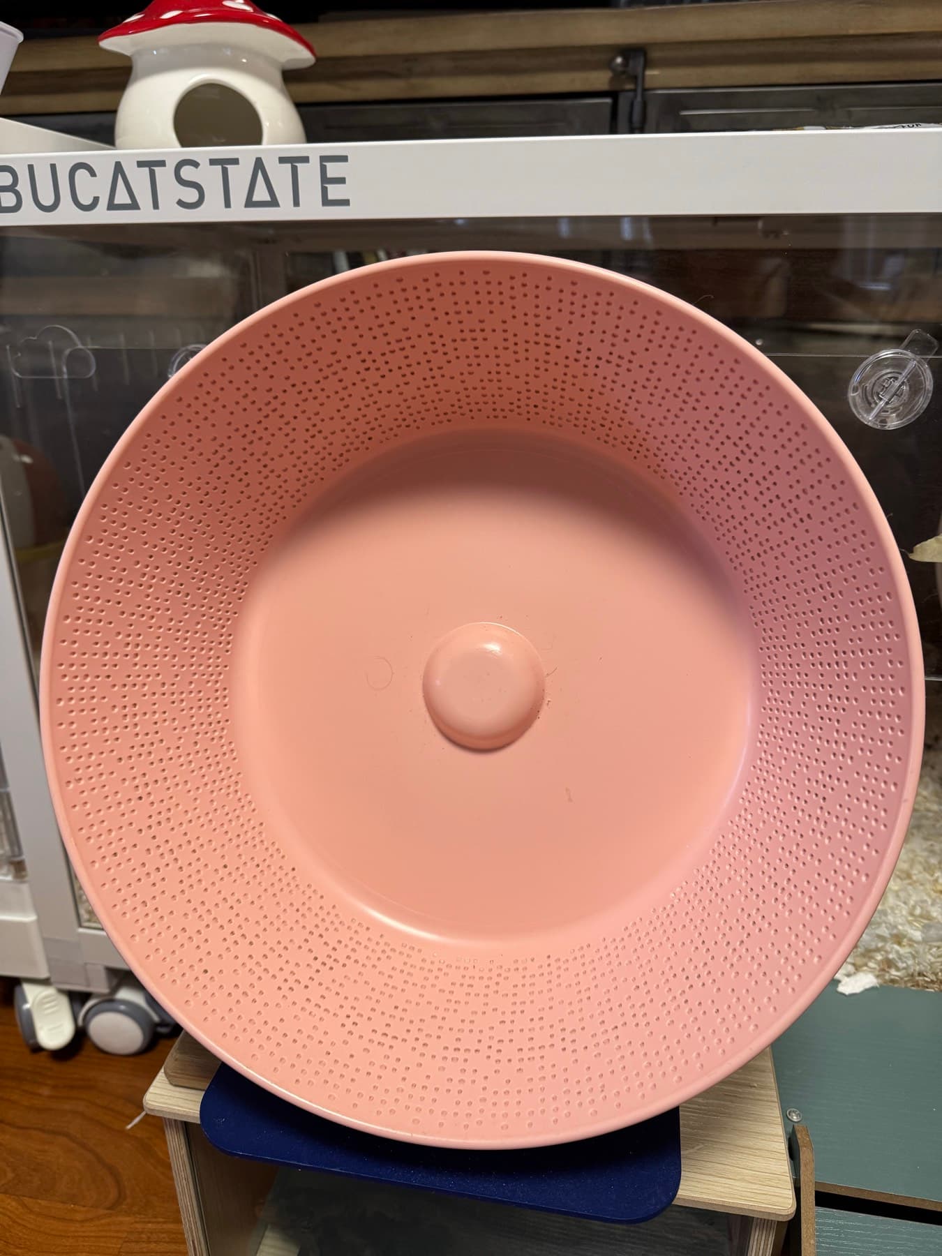 햄스터 마라톤휠 독일 유레카 - 1