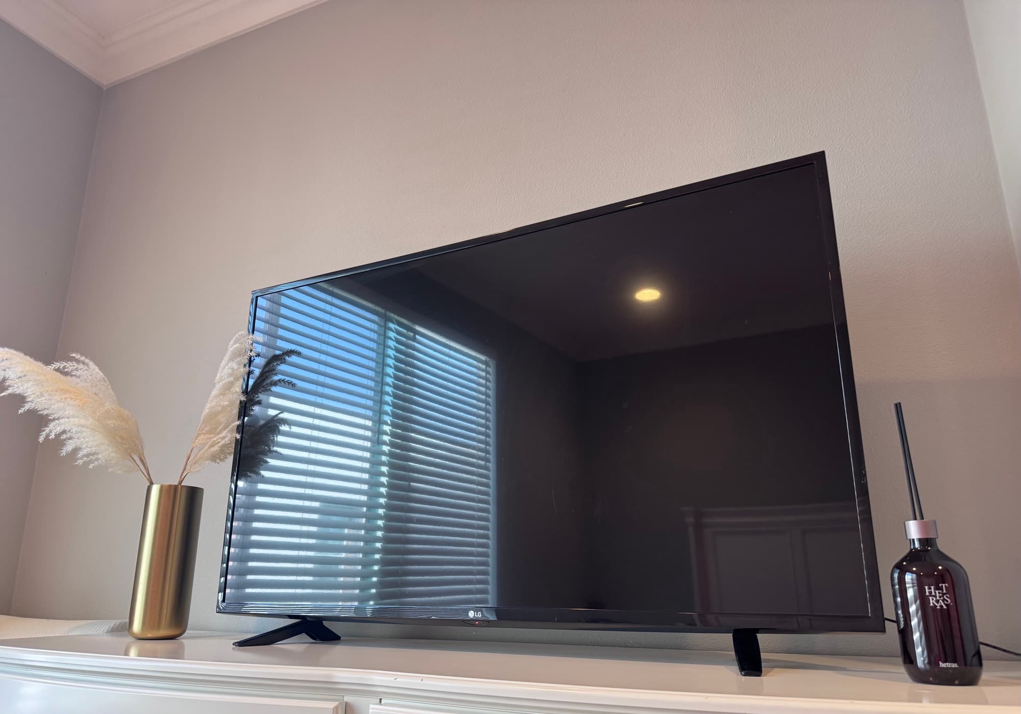 LG  49인치 TV (리모컨 포함) - 1