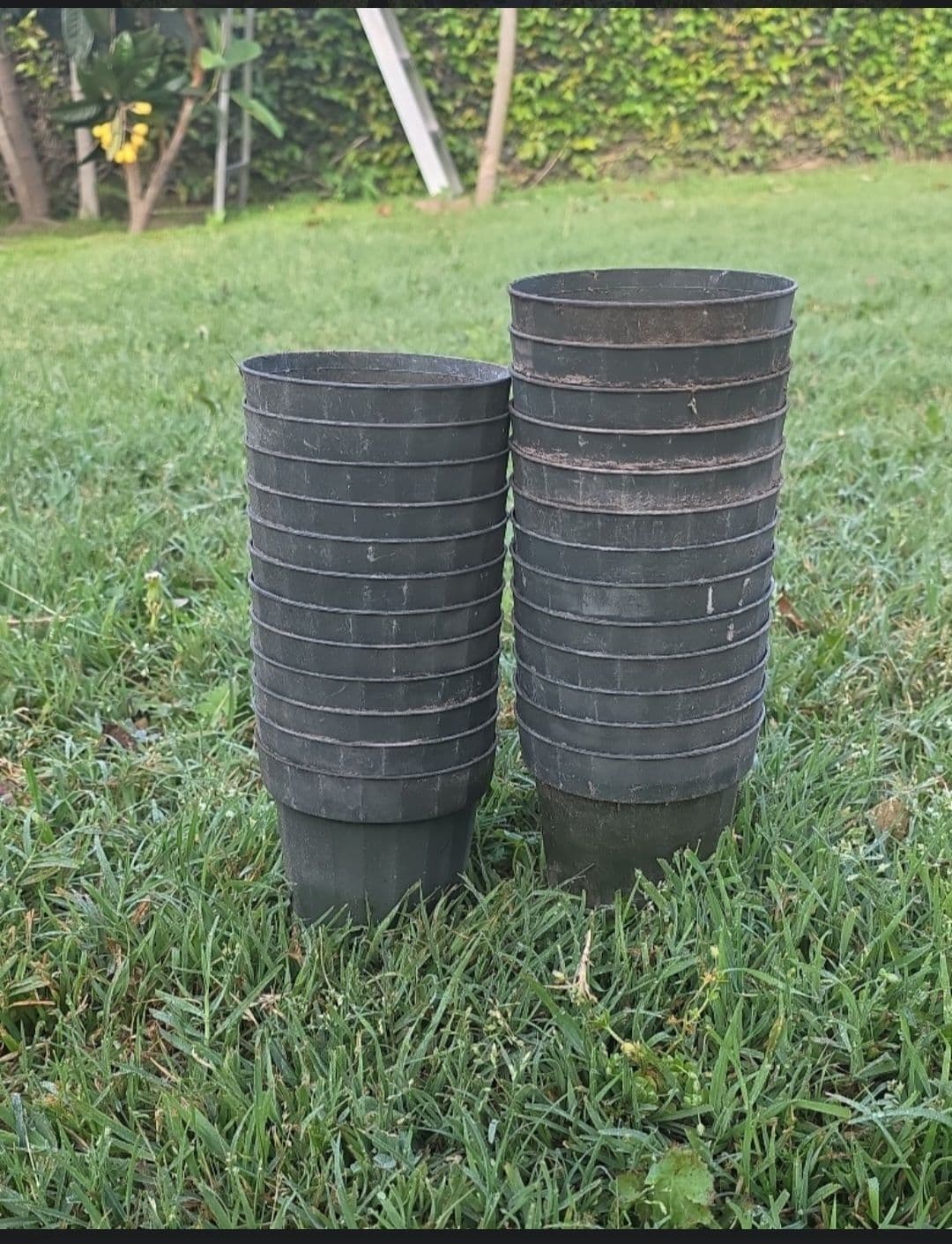 지름 10cm 육묘용 화분 30개 판매합니다 - 1