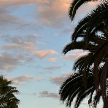 이사급처합니다