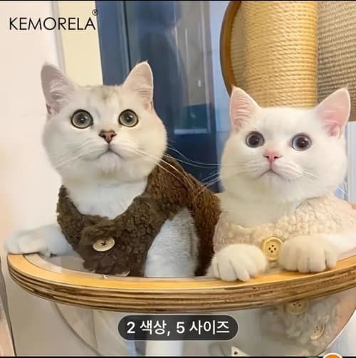 애견 애묘 겨울옷