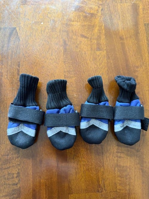 강아지 신발 XS size