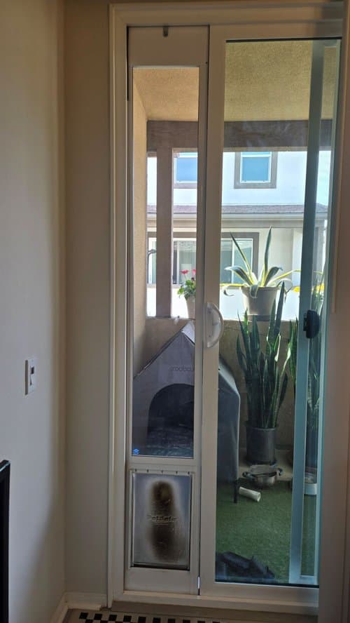 [무빙세일] PetSafe 개🐕 출입문