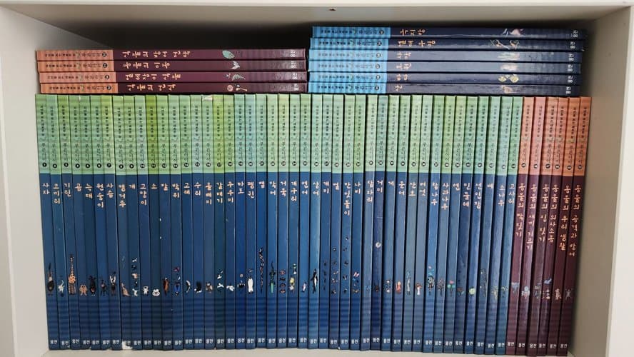 웅진 푸른아이 자연관찰책 전권세트