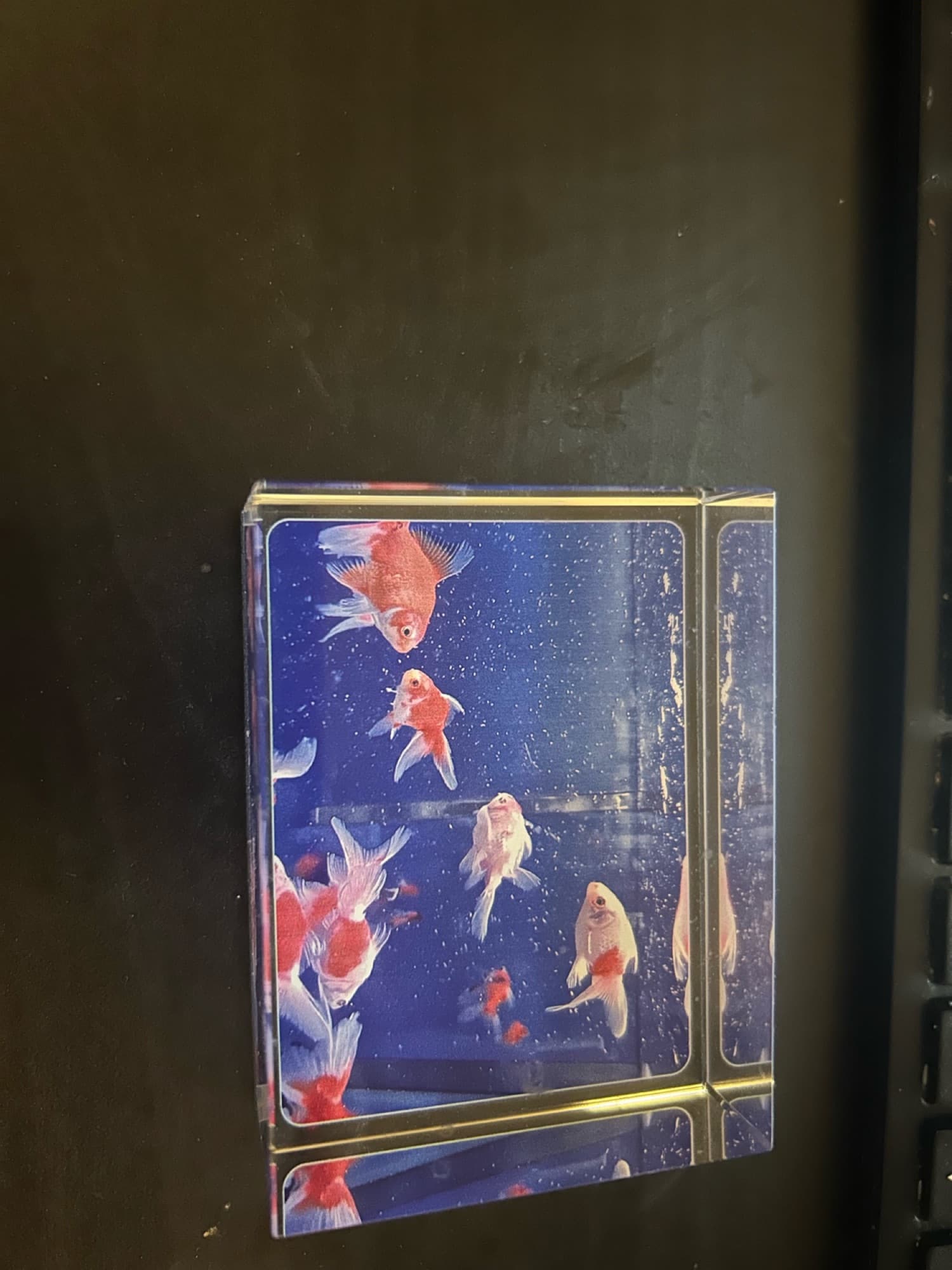 문진 금붕어 어항 유리 장식 싸게팝니다 - 1