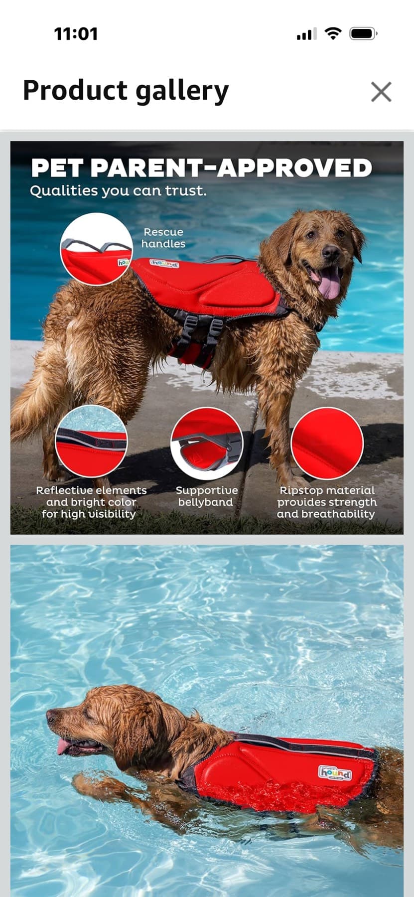 Outward Hound Dawson Swim Red Dog Life Jacket, Large - 1